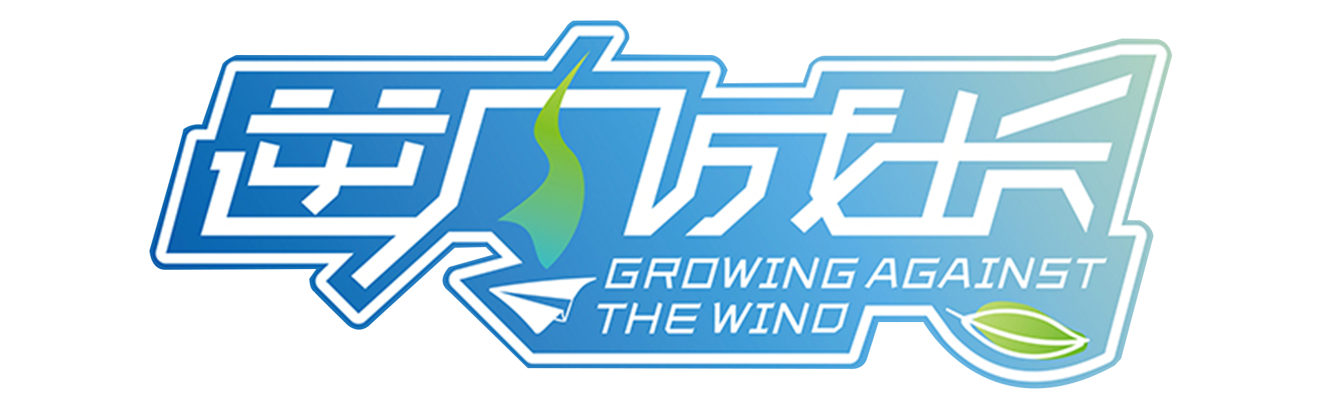 逆风成长录